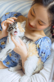 蘑菇影视
